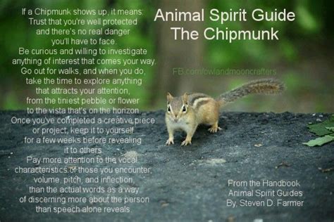 Unraveling the Mystery of Occult Healing Through the Language of Chipmunks